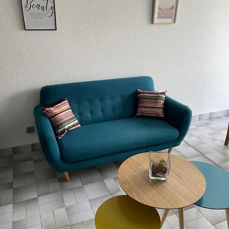 F2 Duplex Climatise Cap Centre Port Apartment Agde
